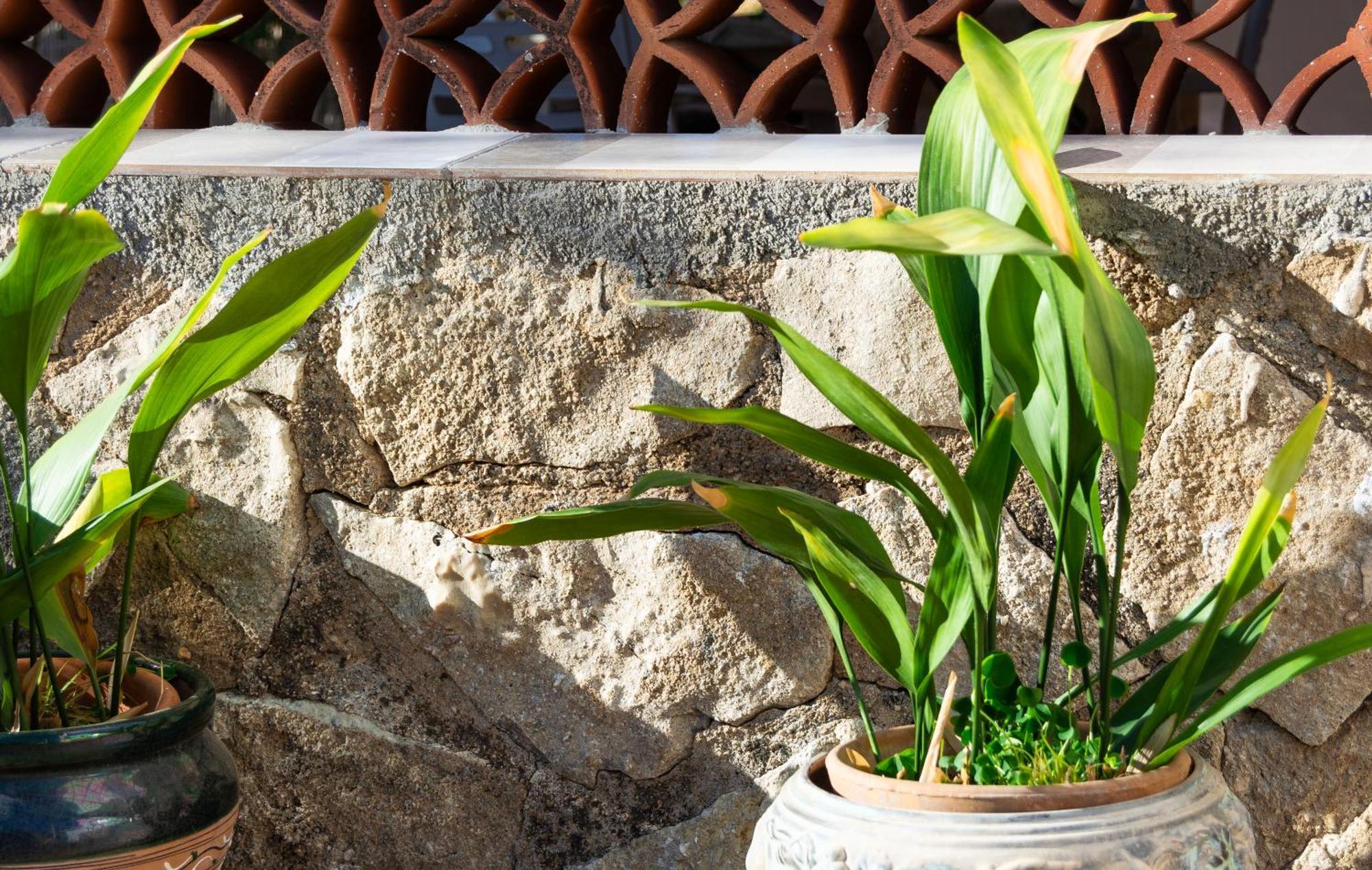 Casa Delicias Con Piscina Privada A 200M Playa - By Marina Alta Holidays 德尼亚 外观 照片